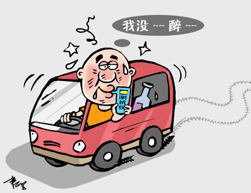 森林的秘密封面